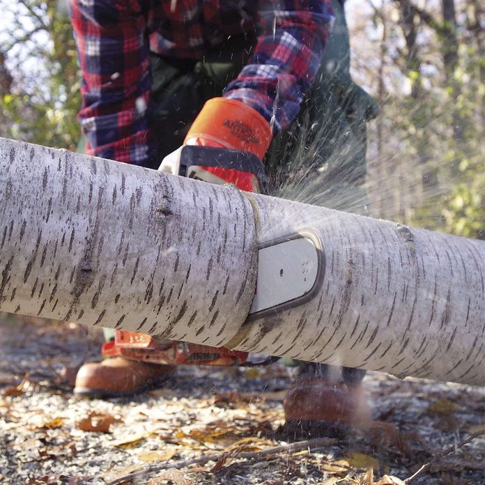 cordless chain saw cutting llogs battery powered chainsaw battery chainsaw