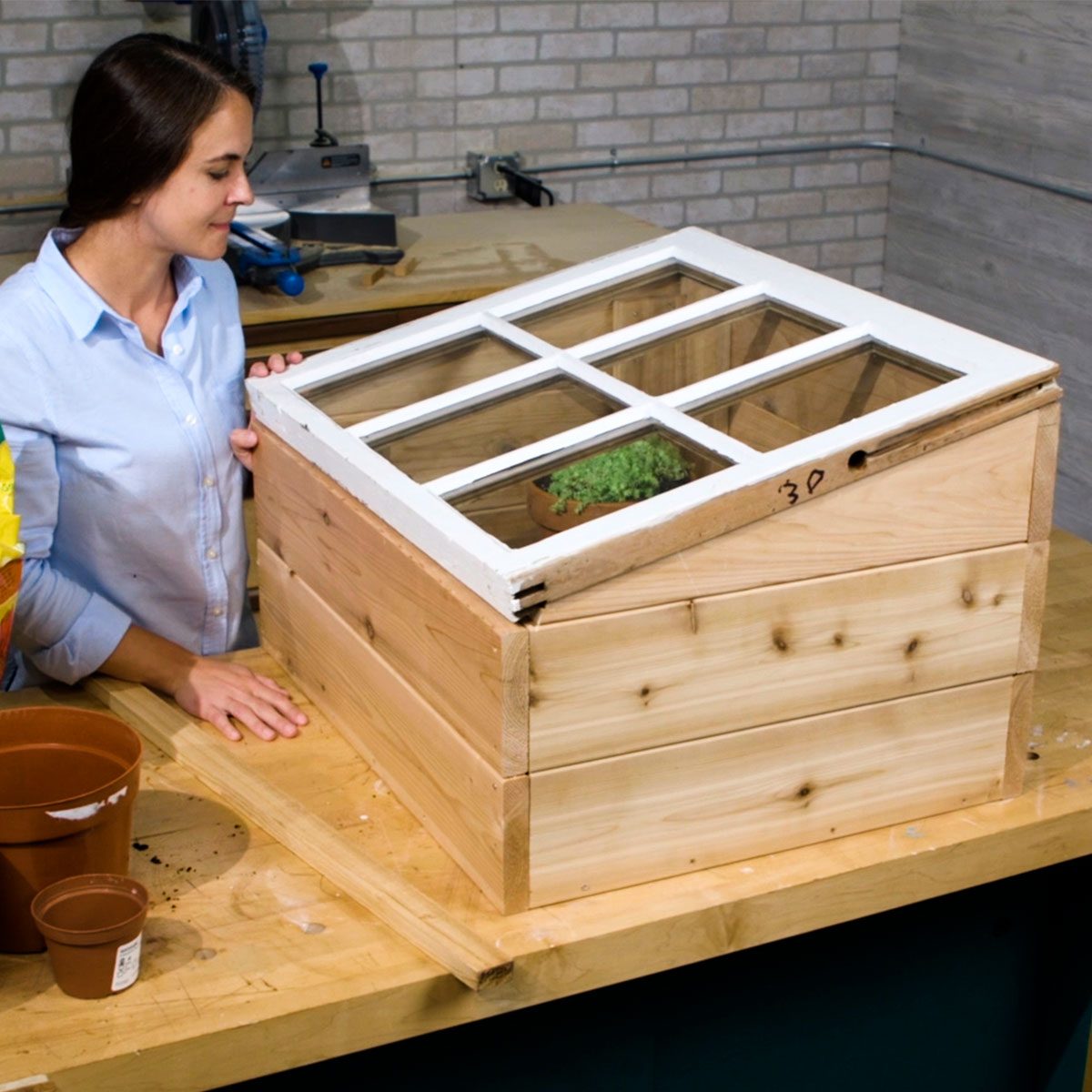 mini greenhouse with old window