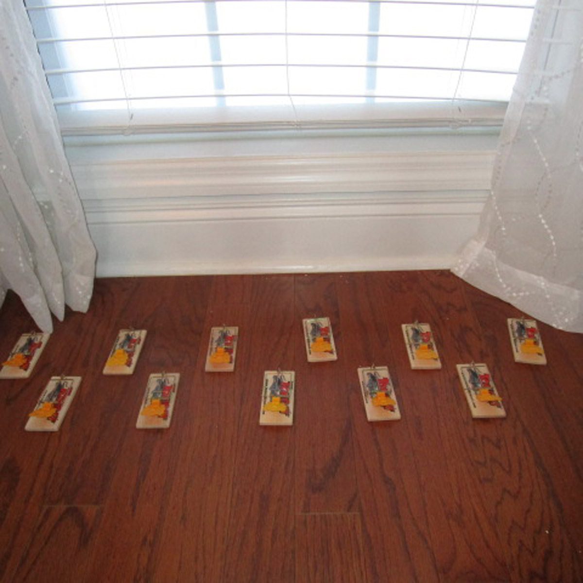 Mouse Apocalypse