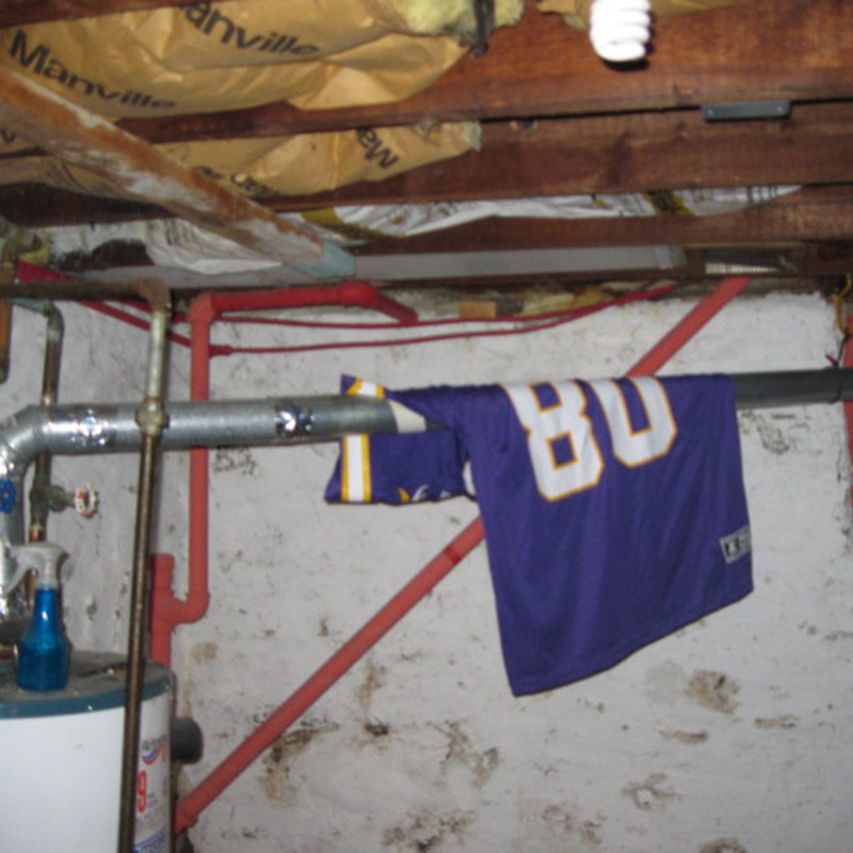 Cris Carter's Basement