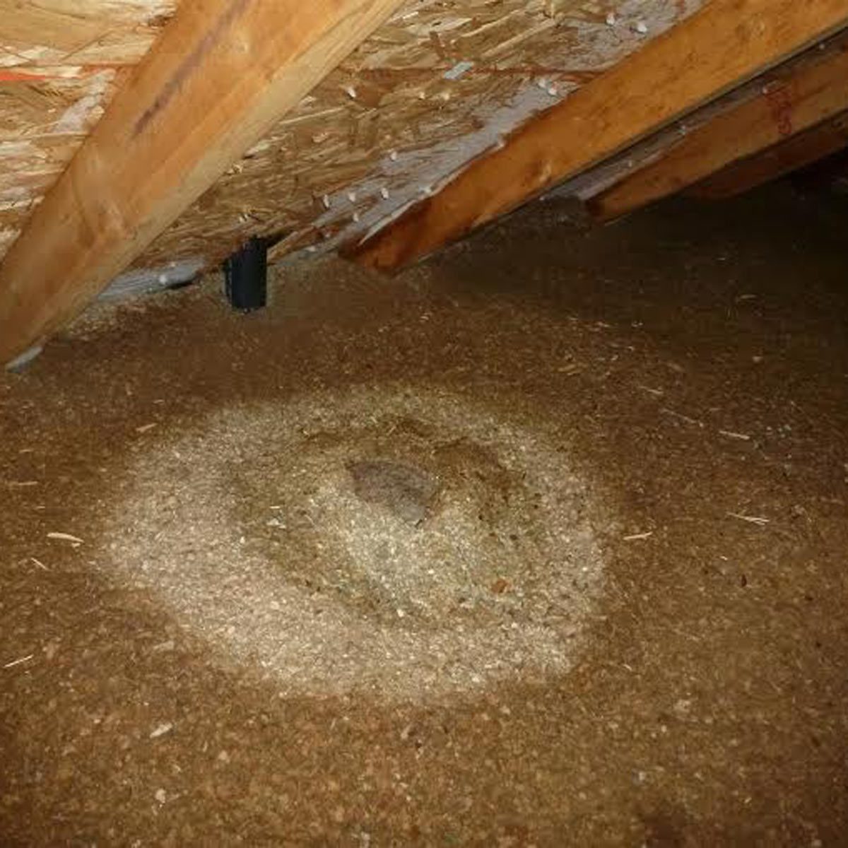 Crop circles in the attic