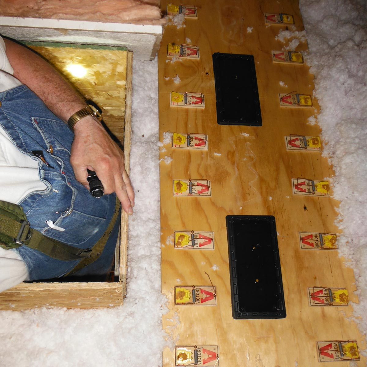 Mouse trap gauntlet