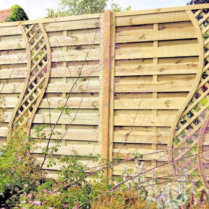 Climbers Wall Wood Fence