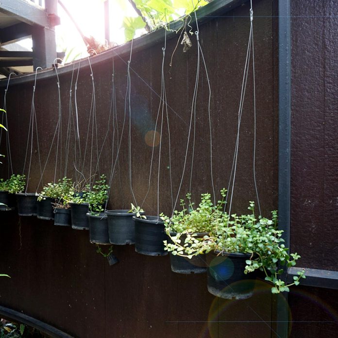 plants deck rail plant hangers