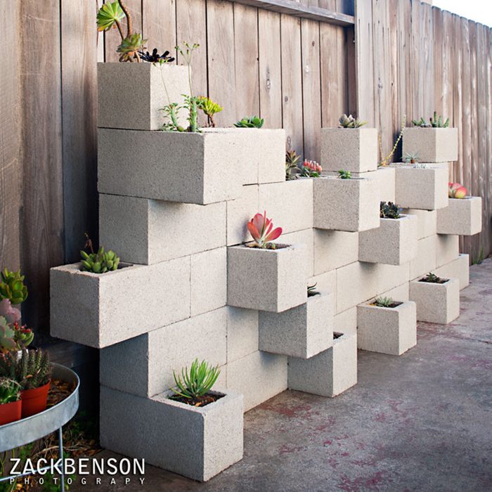 Succulent Planter Wall Zack Benson Photography Img Fad1f0370e023826 9 0176 1 5cb690a