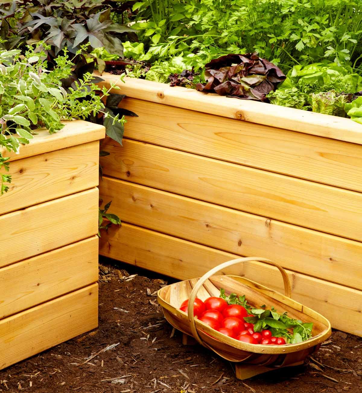 self-watering planter