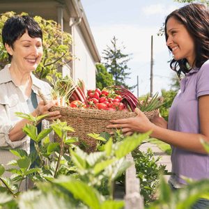 Two women share a woven basket filled with fresh vegetables in a sunny garden, surrounded by greenery and a beige building in the background.