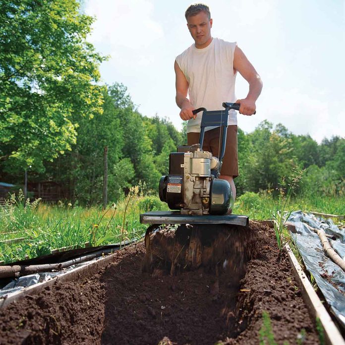 Enrich the soil