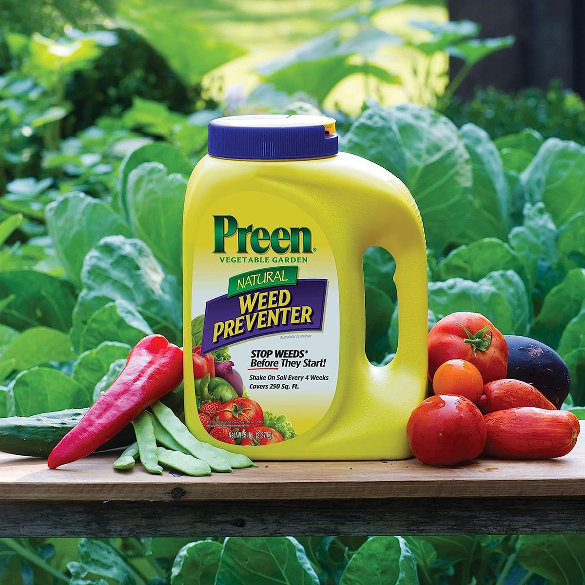 10 Best Weed Killers For Lawn