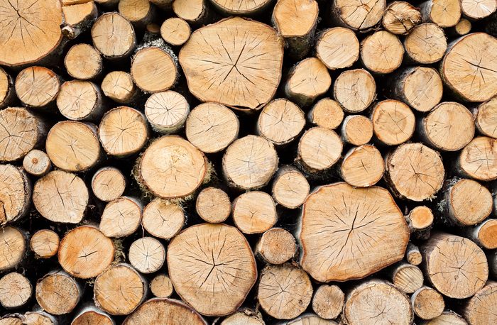 Pile of wood
