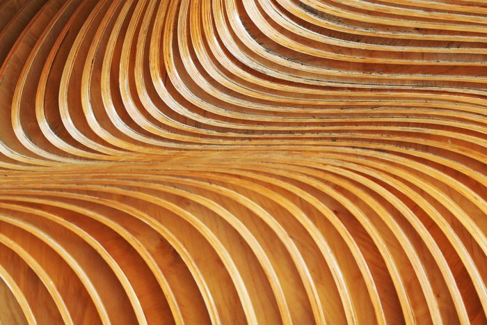 Bendy Ply