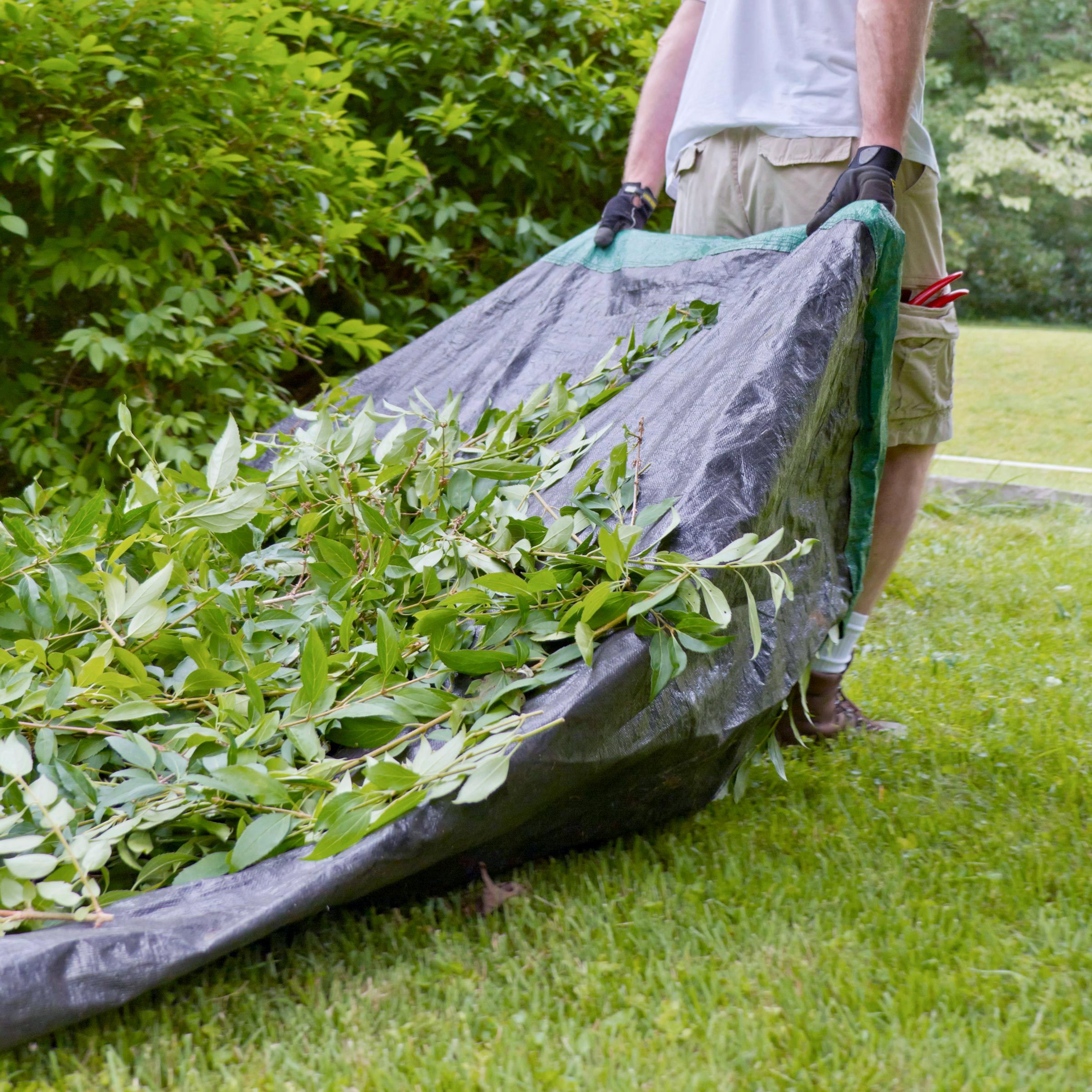 A person carries a large black tarp filled with green leaves across a grassy area, surrounded by bushes and trees in a garden setting.