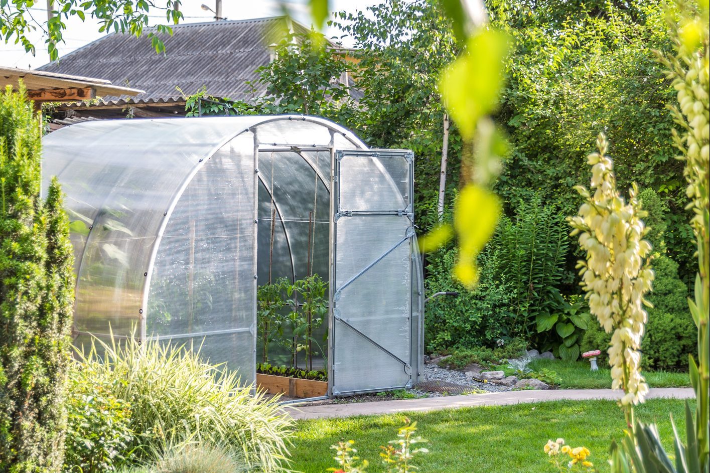 9 Types of Greenhouses