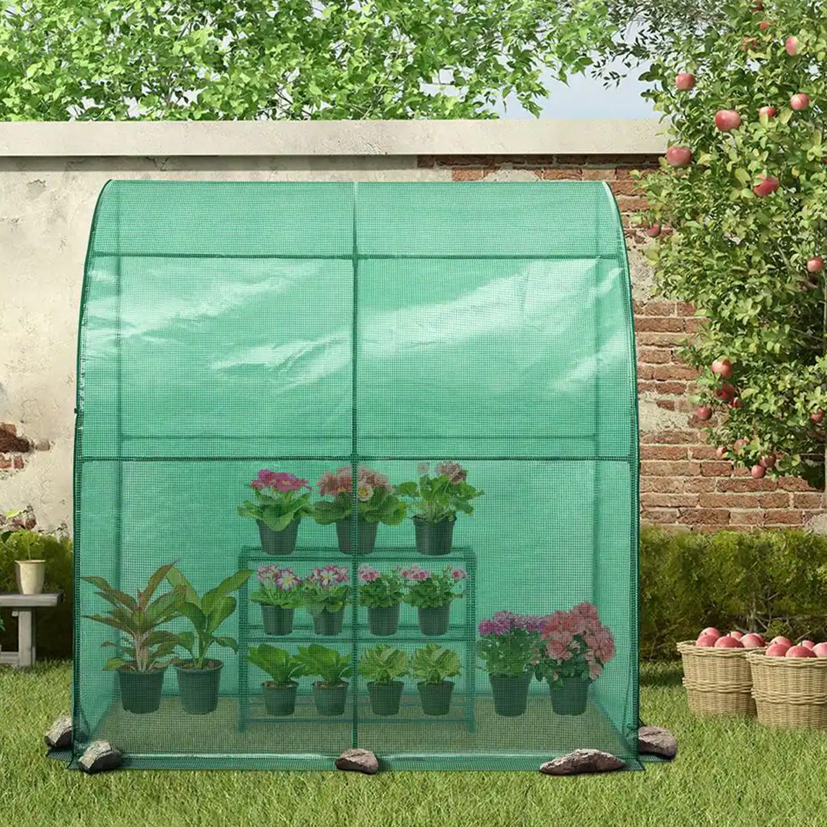 8 Best Portable Greenhouses To Conveniently Protect Plant Life