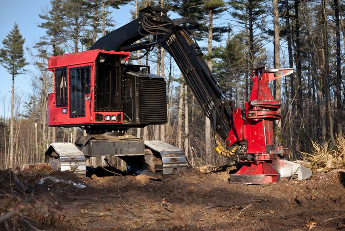 Tracked Feller Buncher