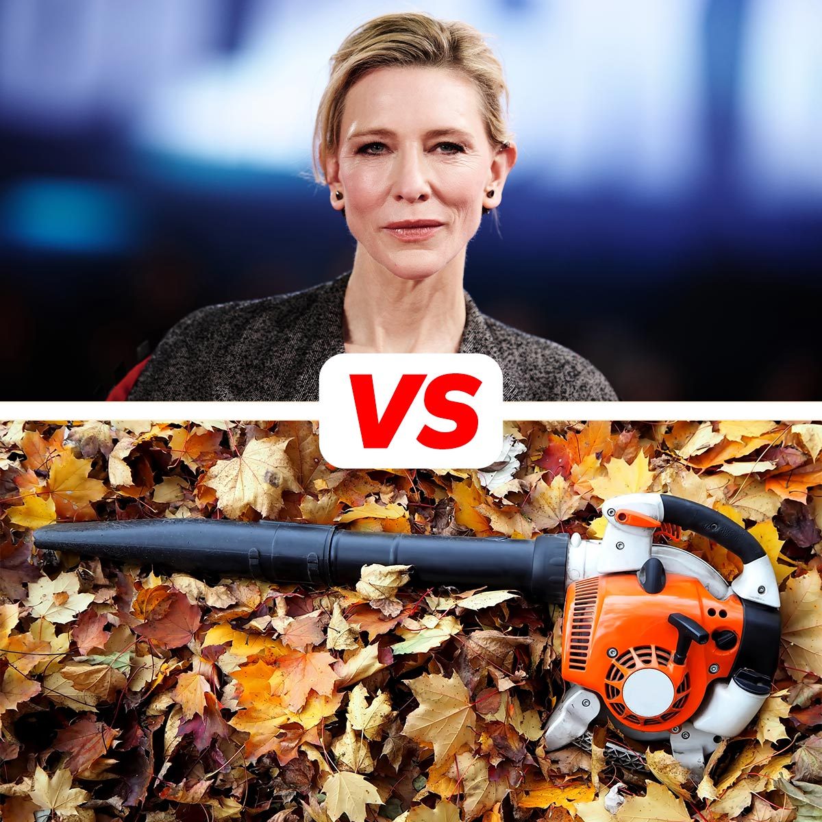 Why Does This Hollywood Celebrity Hate Leaf Blowers?
